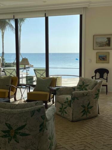 241636688 6244685678935170 7718702411780871091 n