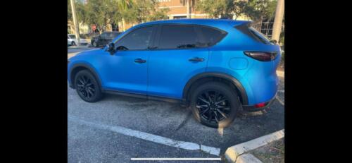 244367918 201202588783403 6099721616401948169 n